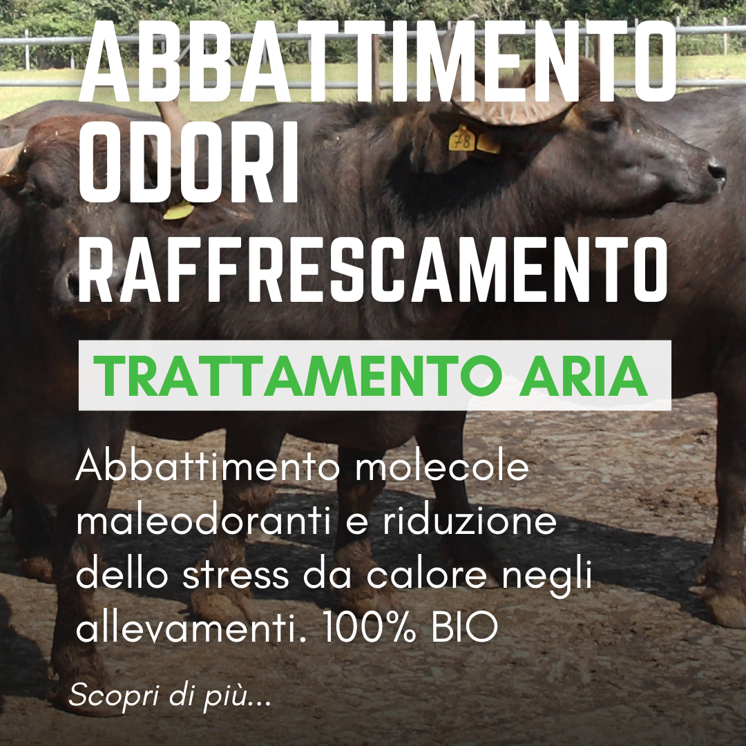 news-cover